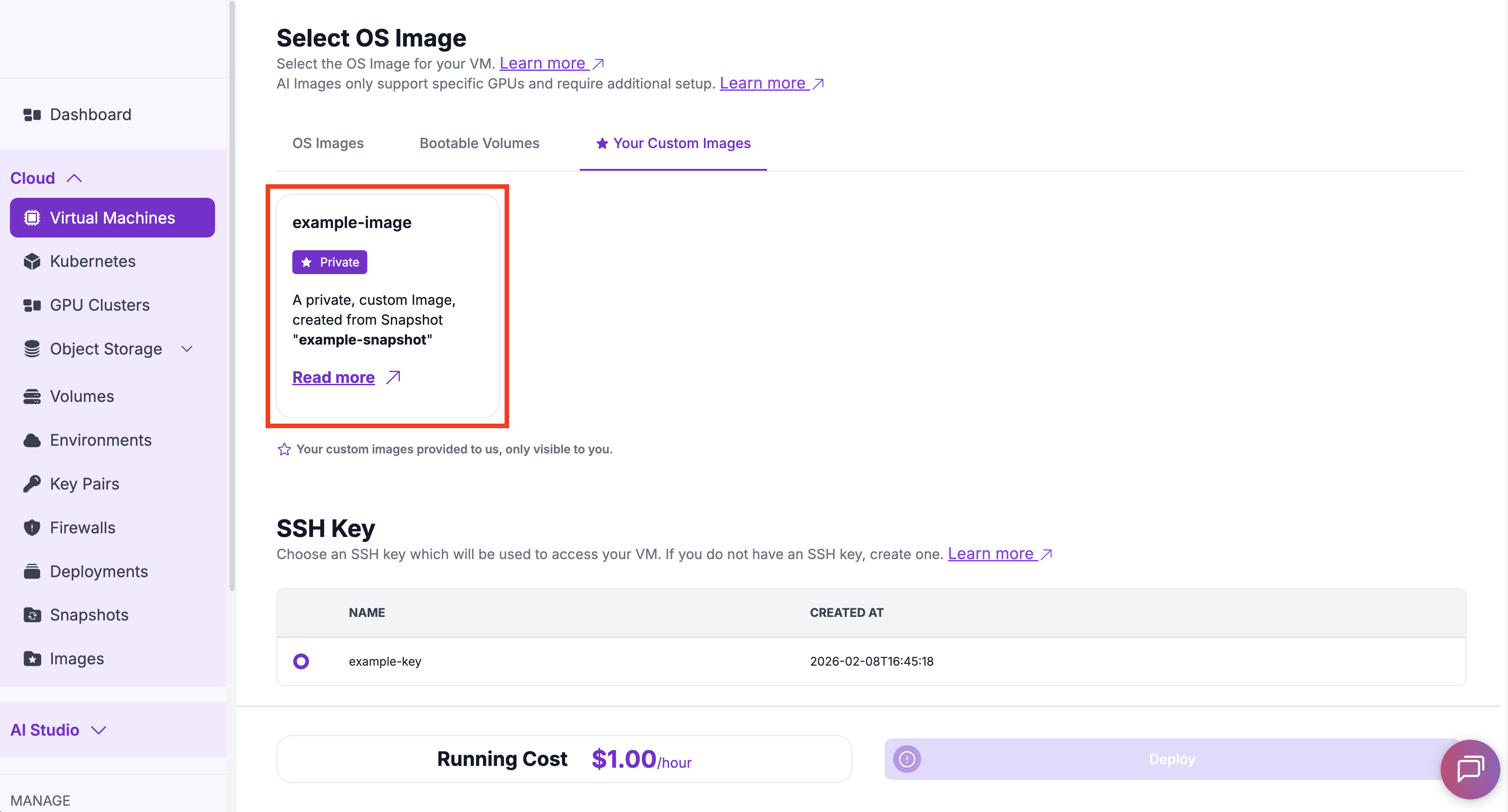 Change Flavor - Select Custom Image from Snapshot
