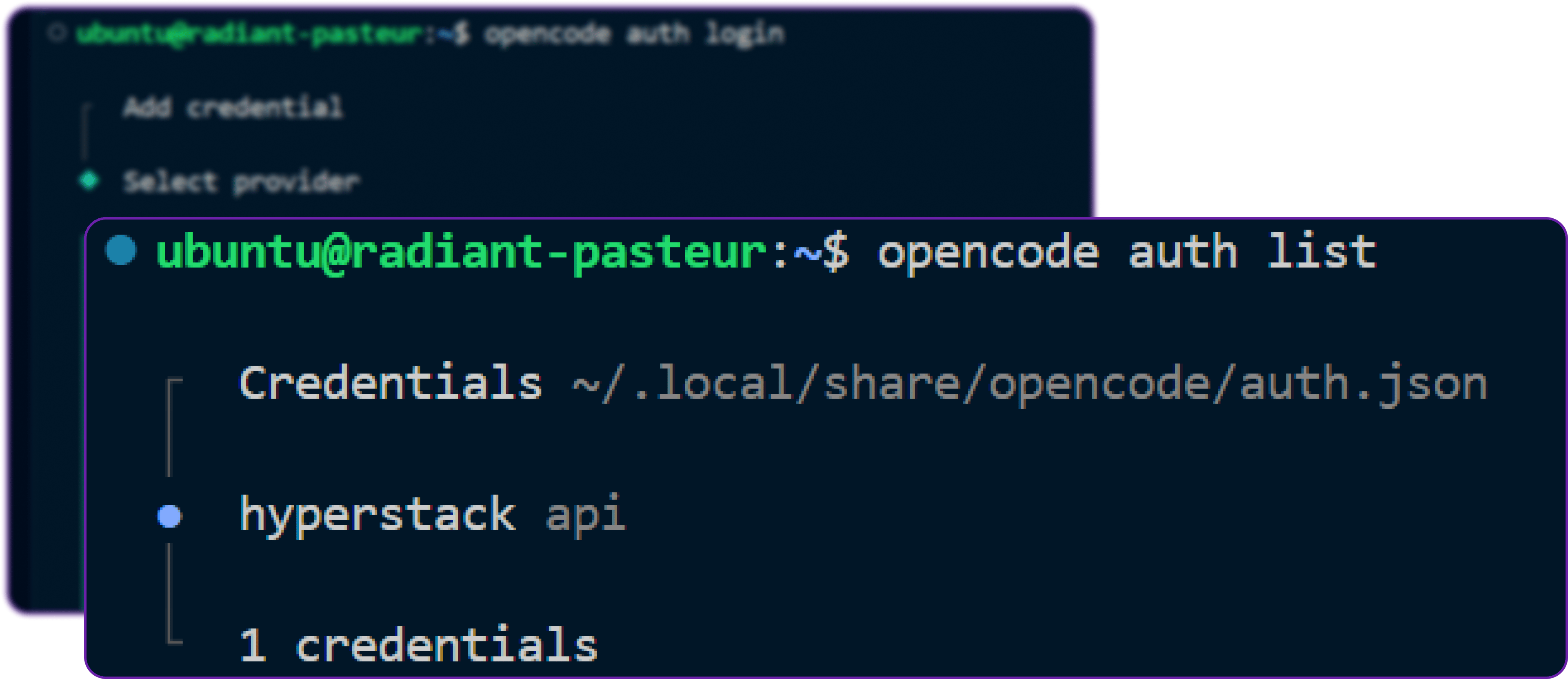 OpenCode Auth List