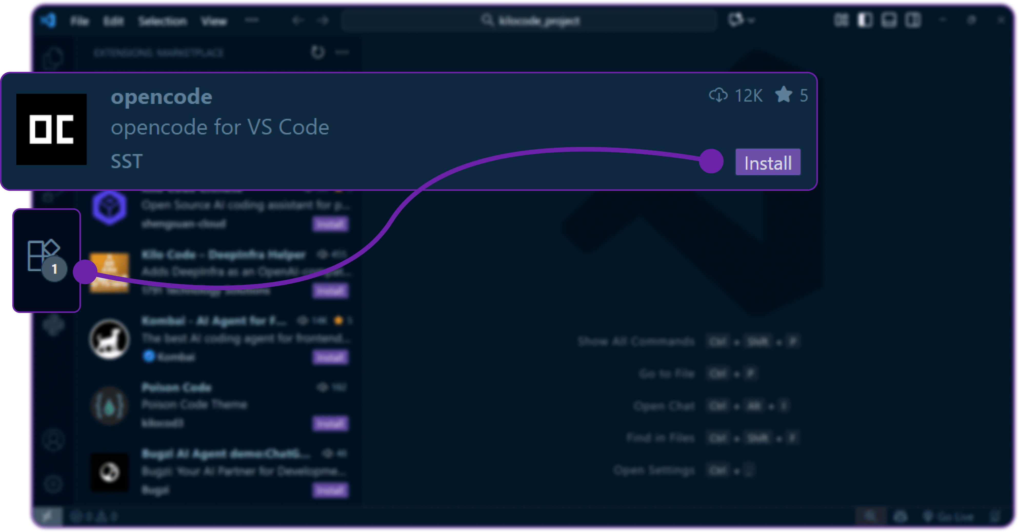 VSCode Extension Install